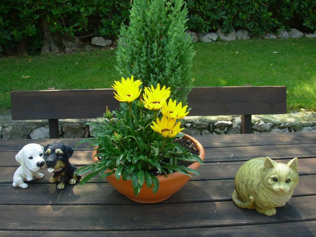 Villa Due Leoni - Residence Brenzone sul Garda Kültér fotó